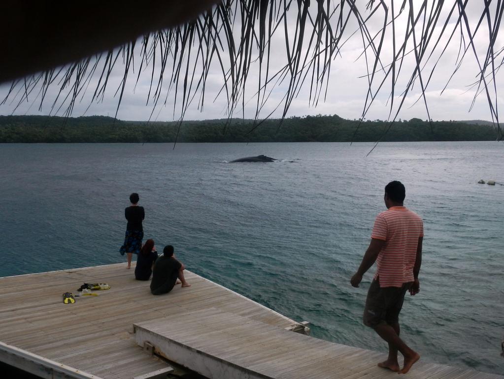 Tongan Beach Resort Utungake Exterior photo